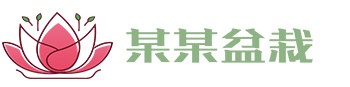 星空·综合体育(StarSky Sports)官方网站